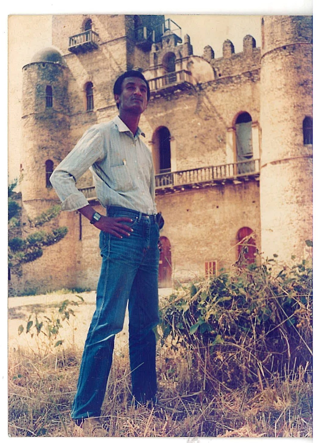 Fasil ginb