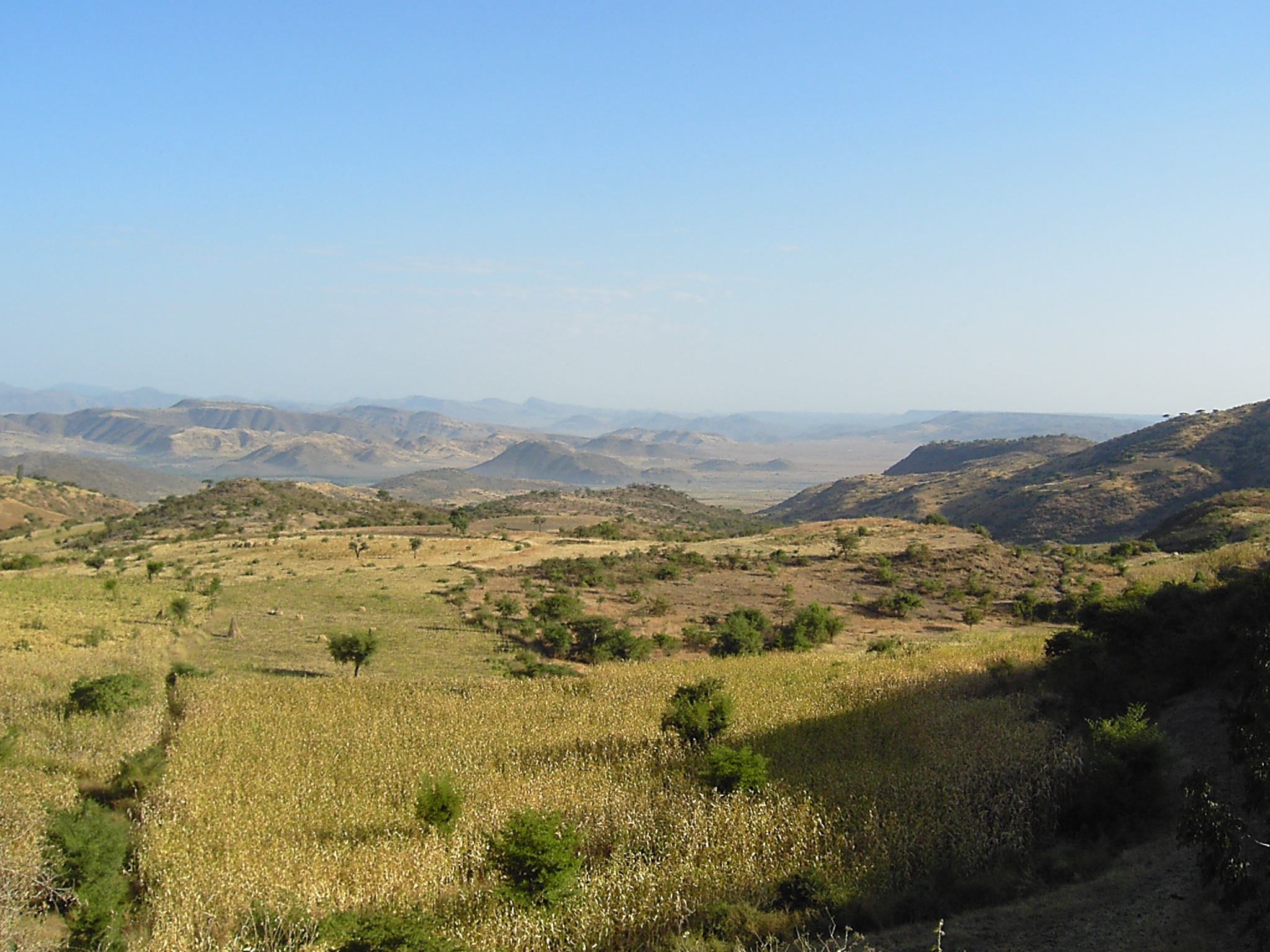 Afar Zone 5 2005